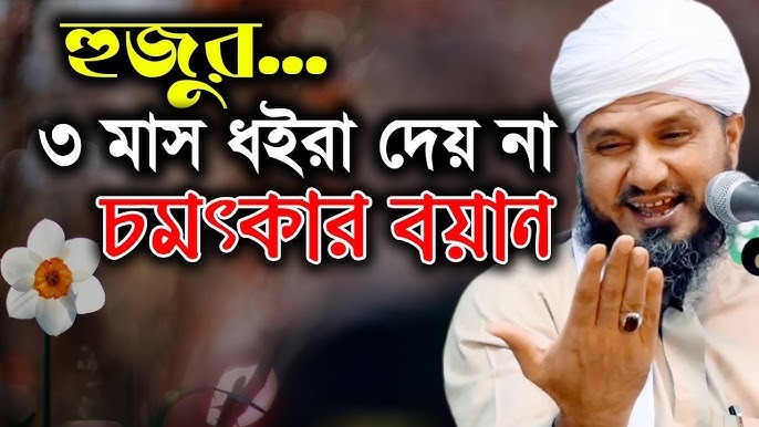 Nastya qattiq mushuk ichida