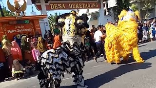 BARONGSAI ATRAKSI Lamongan Karnaval #karnaval #barongsaiseram