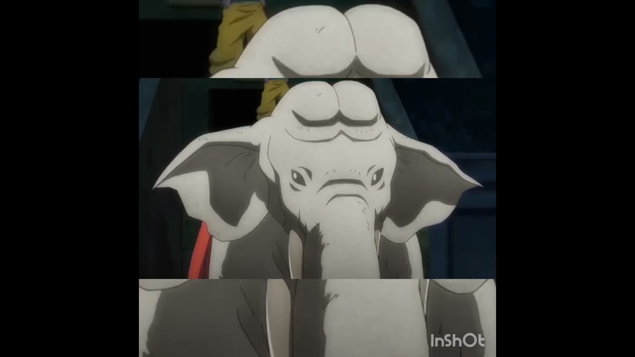 Shiva en portugués🇦🇴🇵🇹🇲🇴🇧🇷🇲🇿