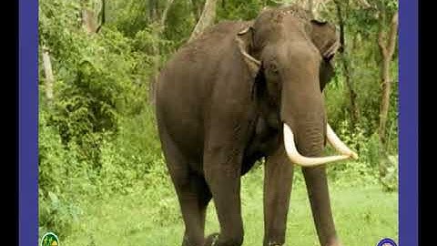 VCP-std8-sem2-Unit3-Epi-8(36)-Act6(2)-23012017