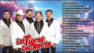 LOS TIGRES DEL NORTE ~ PUROS CORRIDOS PESADOS PA PISTEAR ~ GRANDES EXITAZOS