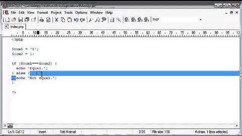 Beginner PHP Tutorial   24   Triple Equals   YouTube