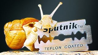 ЧТО БУДЕТ, ЕСЛИ ПУСТИТЬ УЛИТКУ ПО ЛЕЗВИЮ! ЧТО БУДЕТ, ЕСЛИ ПУСТИТЬ УЛИТКУ ПО ЛЕЗВИЮ!