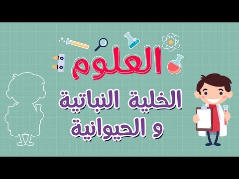 العلوم | الخلية النباتية و الحيوانية