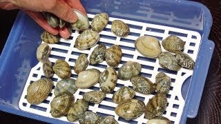 あさりの旬はいつ 産地別ベストシーズンと一度は食べたいアサリ料理をご紹介 暮らし の あさりの旬はいつ 産地別ベストシーズンと一度は食べたいアサリ料理をご紹介 暮らし の