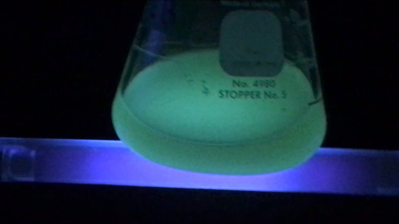 GFP Production - Part 6A: Cell Removal by Centrifugation