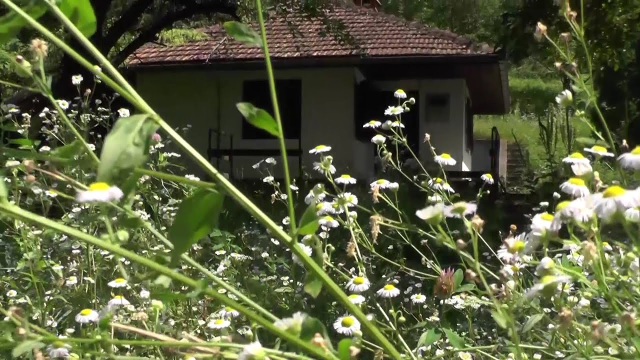 Petina, selo u kome se Milan Martić skrivao četiri godine: Sećanje na tihog komšiju