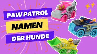 Paw Patrol Namen Der Hunde Und Figuren Dogco.de