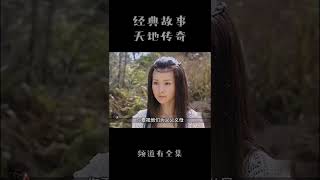 #shorts #经典电视剧 #天地传奇