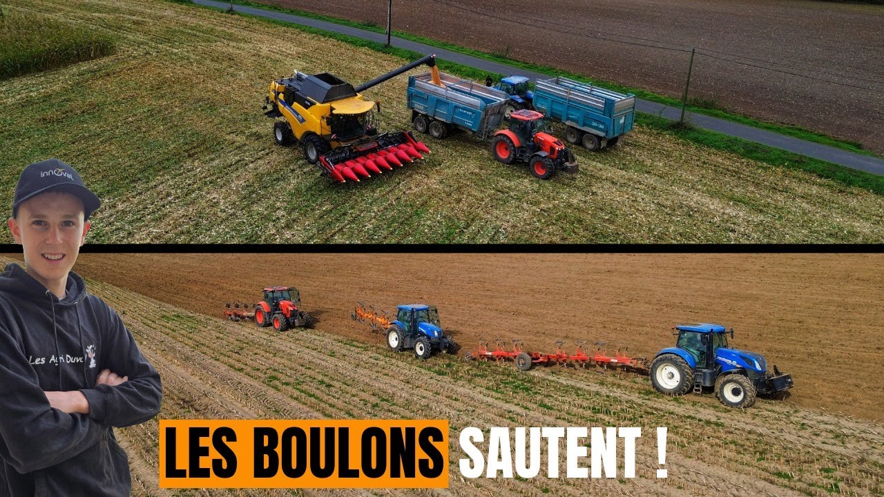 Début semis de blé 2025 et Moisson de maïs