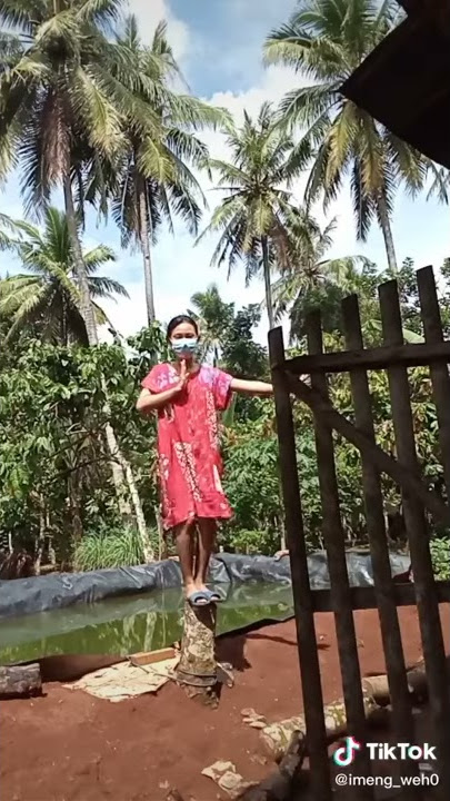 DJ TAPI BOHONG HAYU BALE BALE VERSI TIKTOK 2021