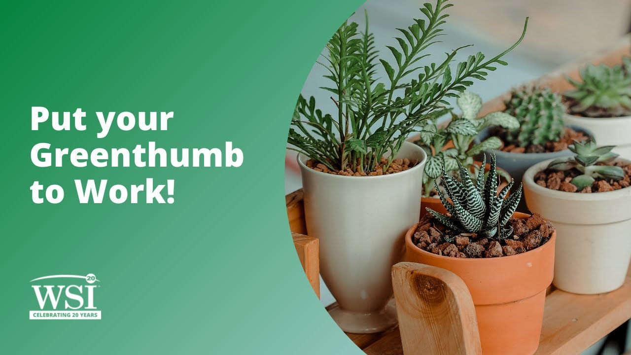 Put Your Greenthumb to Work!