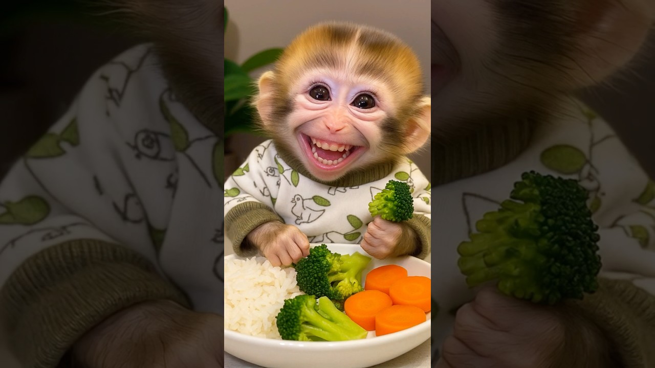🐵 Baby Monkey Loves Healthy Veggies! | Cute Monkey Eating Rice, Broccoli & Carrots 🥦🍚