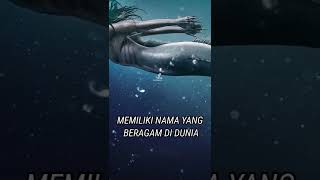 5 fakta mengejutkan putri duyung #makhlukmitologi #kisahmistis#serem #shorts#tiktok#putriduyung