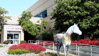 Career Overview Kentucky: Toyota Motor Manufacturing Tour, Georgetown, KY
