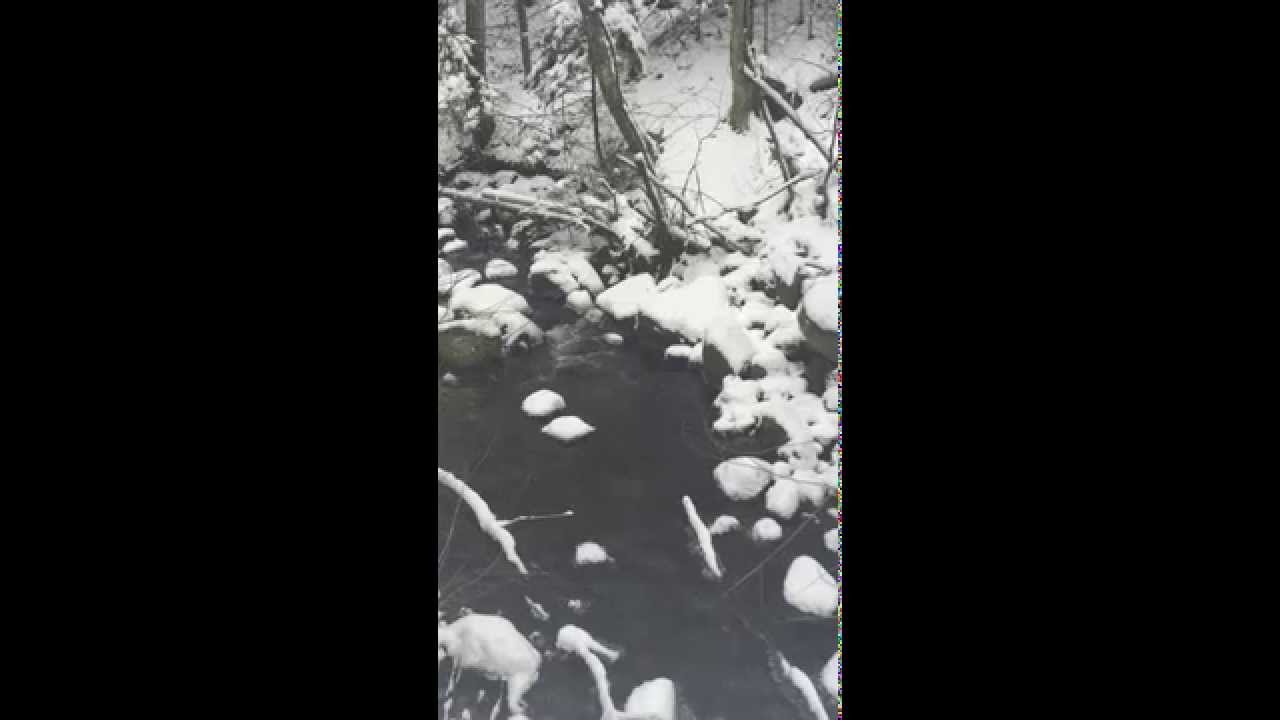 GO-Cottage, winter brook