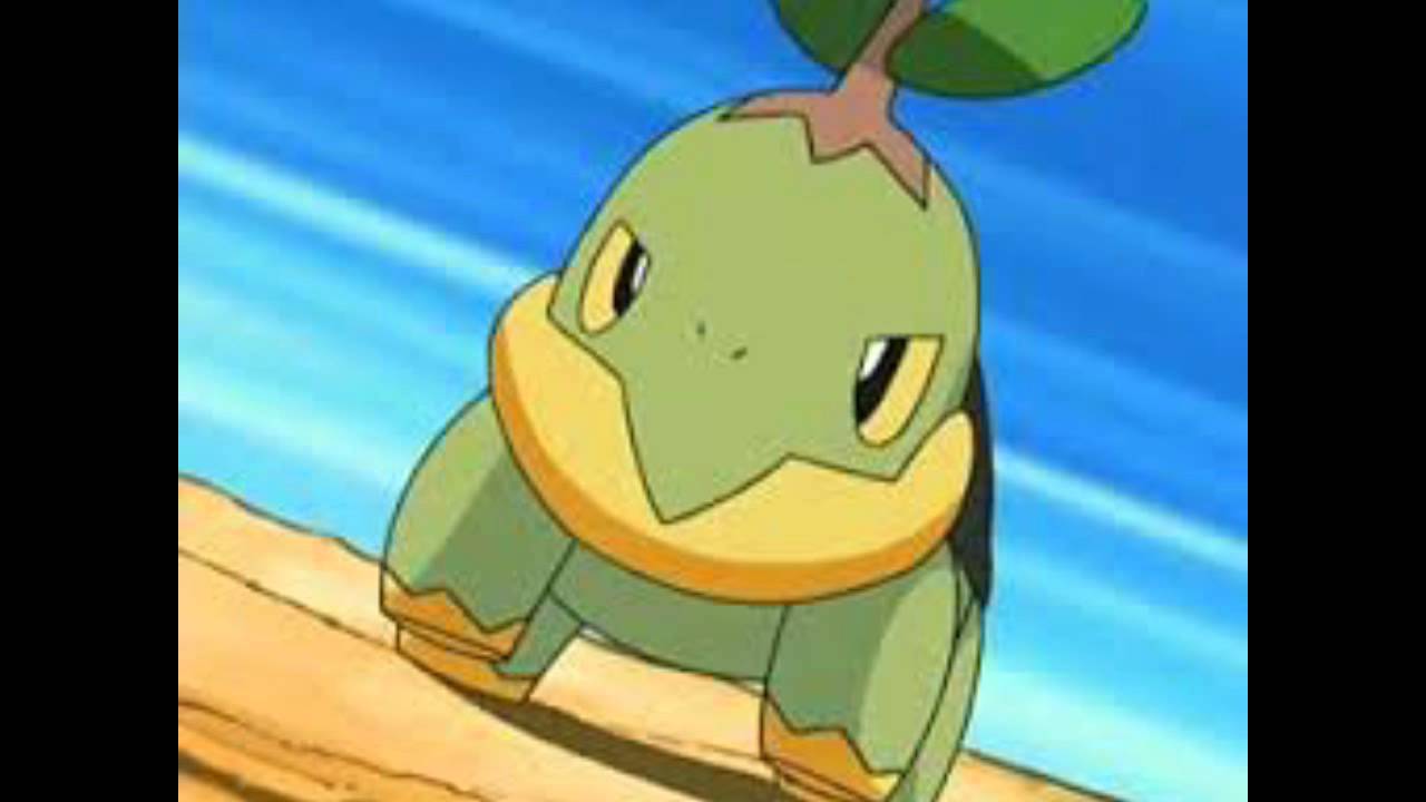 My top 5 Pokemon starters YouTube