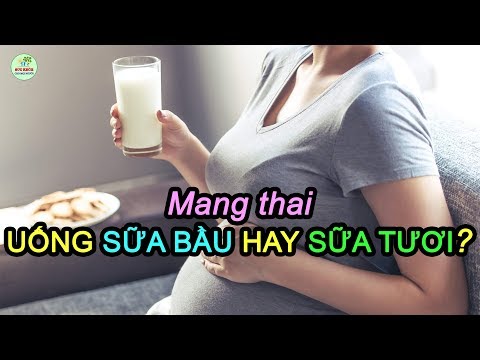 BÀ BẦU NÊN UỐNG SỮA BẦU HAY SỮA TƯƠI?- Mang thai nên uống sữa gì tốt cho cả mẹ và bé?