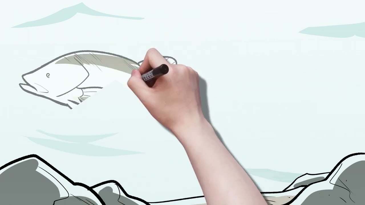 Flow and Fishes of the Murray River