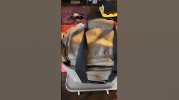 Found a 1984 Macintosh 512k #apple #Macintosh #shorts #computer #retro