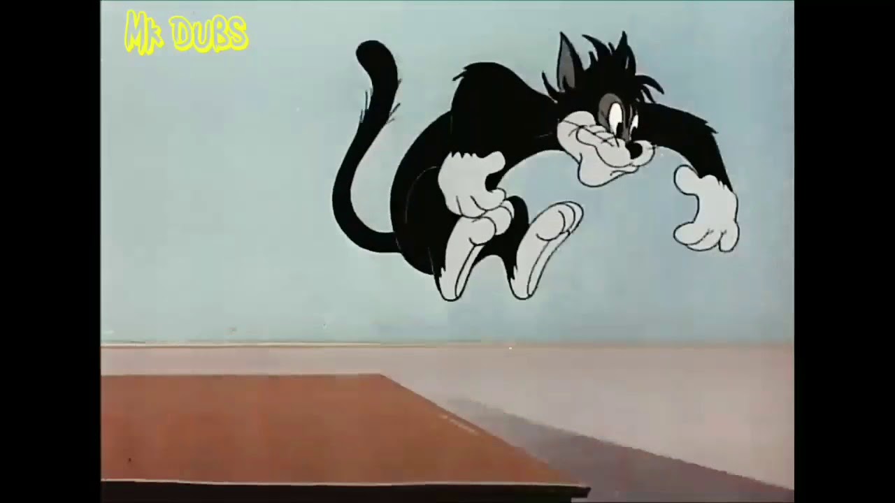 Funny Hyderabadi TOM & JERRY