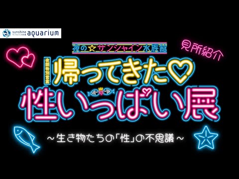 【イベント】見所紹介！「帰ってきた♡性いっぱい展」【 #サンシャイン水族館 】