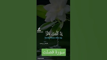 سورة فصلت #اكسبلور #quran #دويتو #المصحف #لايك #duet #تيك_توك #العظماء #حالات_واتس #ترند