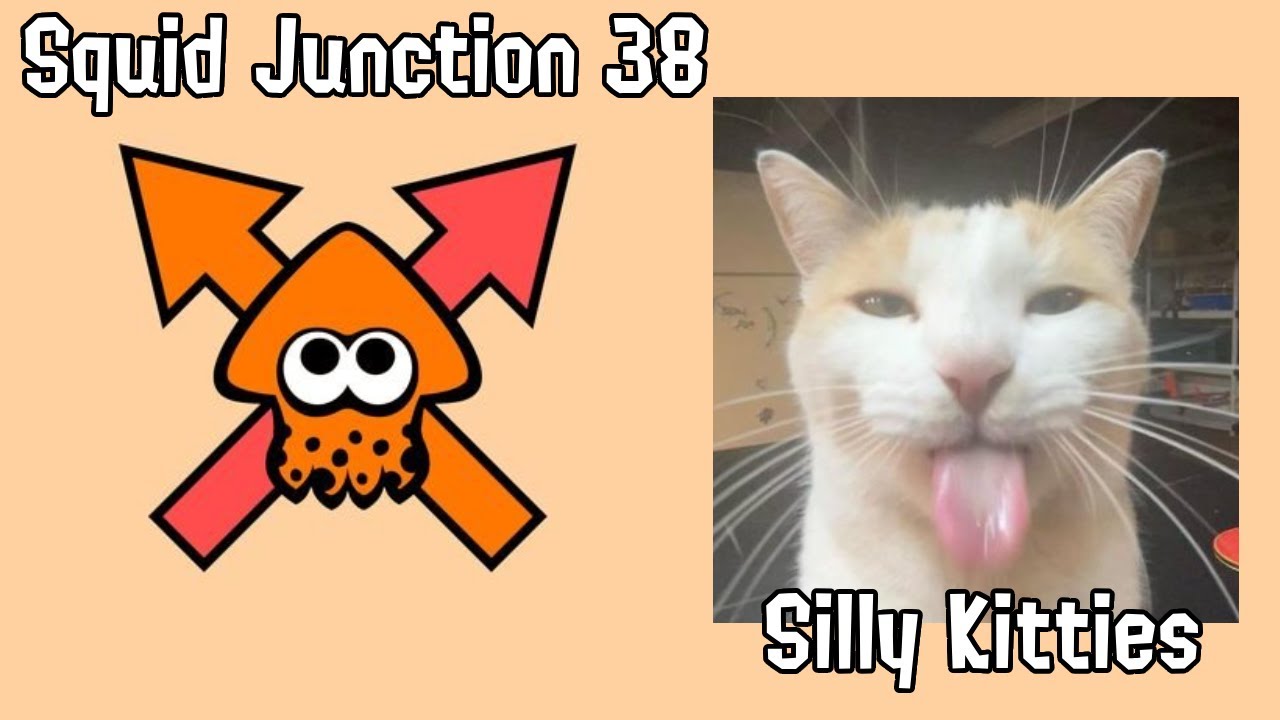 Squid Junction 38 Silly Kitties - YouTube