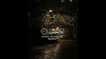 سورة القصص الآيات{٦٠-٦١} #quran #المصحف #shortvideo #راحة_نفسية #حالات_واتس #اكسبلور #تيك_توك #لايك