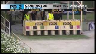 Cannington-11022015-Race-2