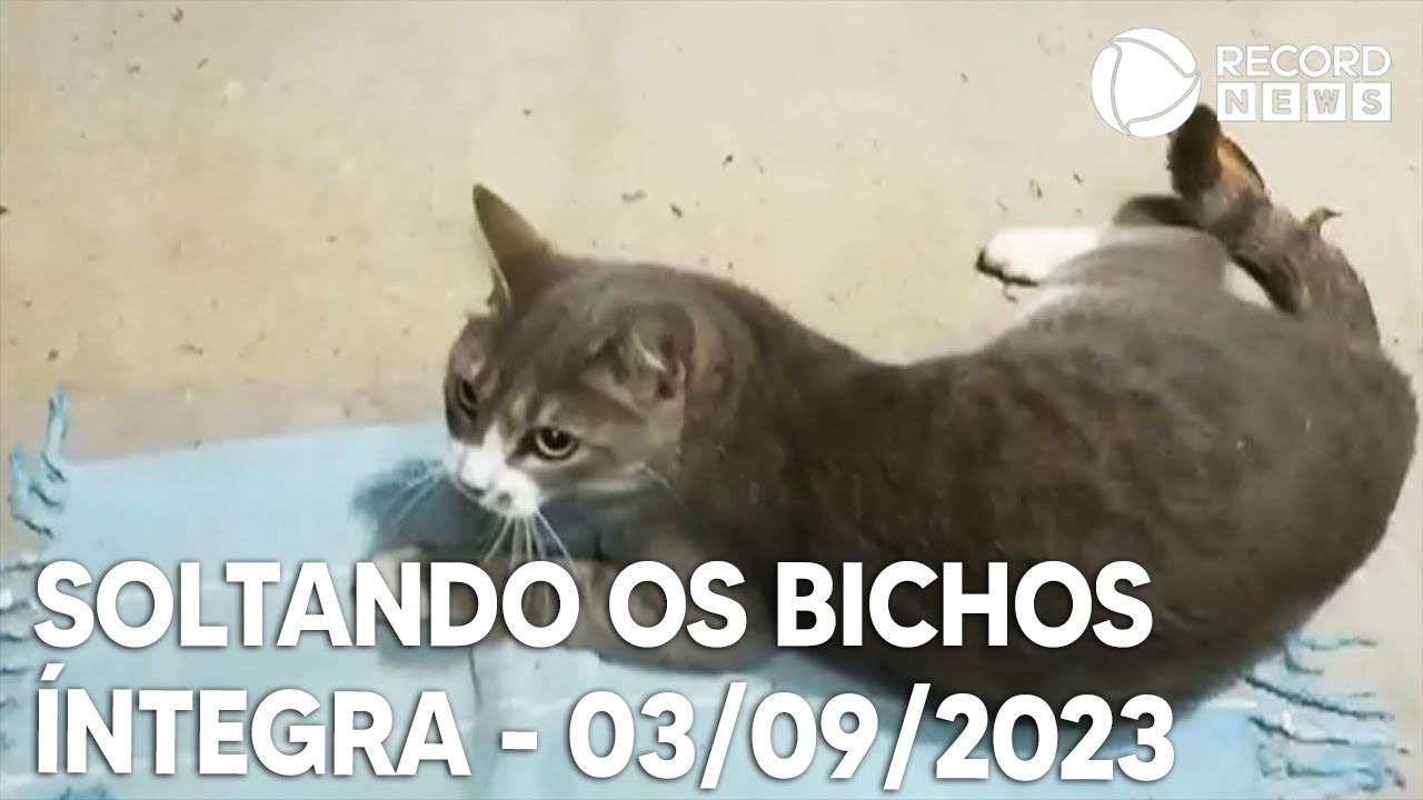 Soltando os Bichos – 03/09/2023