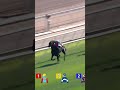 This horse is simply out of this world 🤯 KA YING RISING reclaims the G1 Centenary Sprint Cup 🏆
