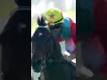 This horse is simply out of this world 🤯 KA YING RISING reclaims the G1 Centenary Sprint Cup 🏆