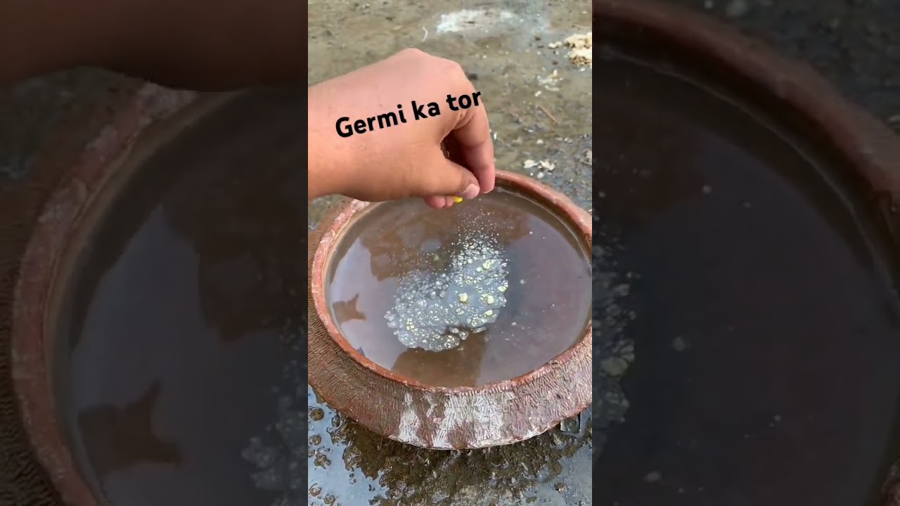 #Germi