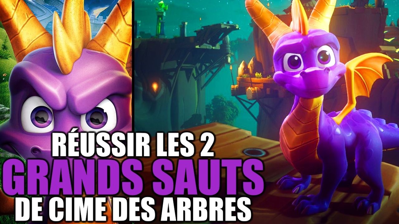 Ratez Ne ratez plus JAMAIS ces sauts à Cime des Arbres | Spyro the Dragon ...