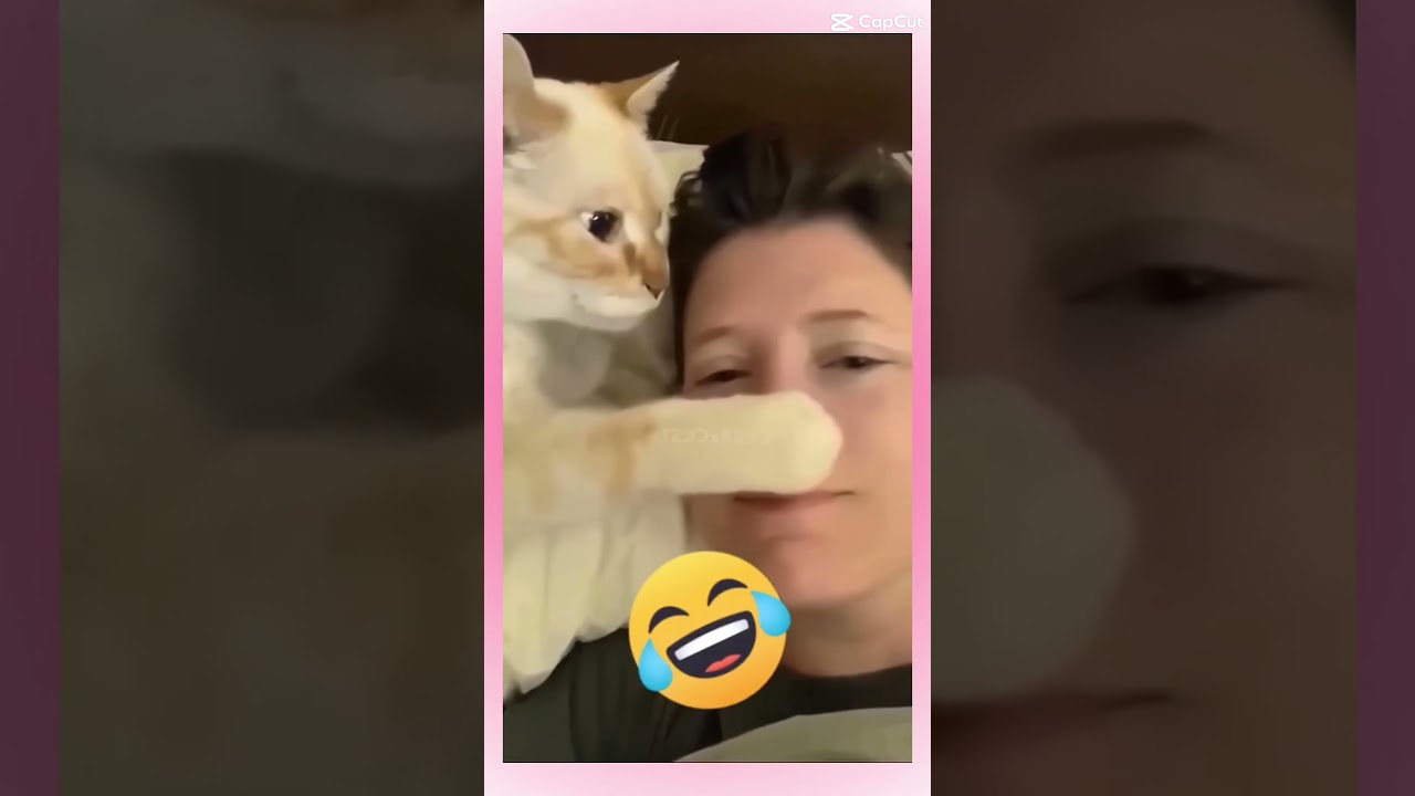 Funny talking animals