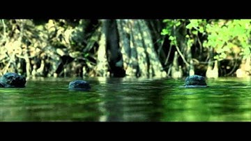 Act Of Valor - Animus Vox- Music Video