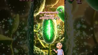 NCERT General Science in ODIA | Meristematic tissue | Competitive Exams #science #online #facts