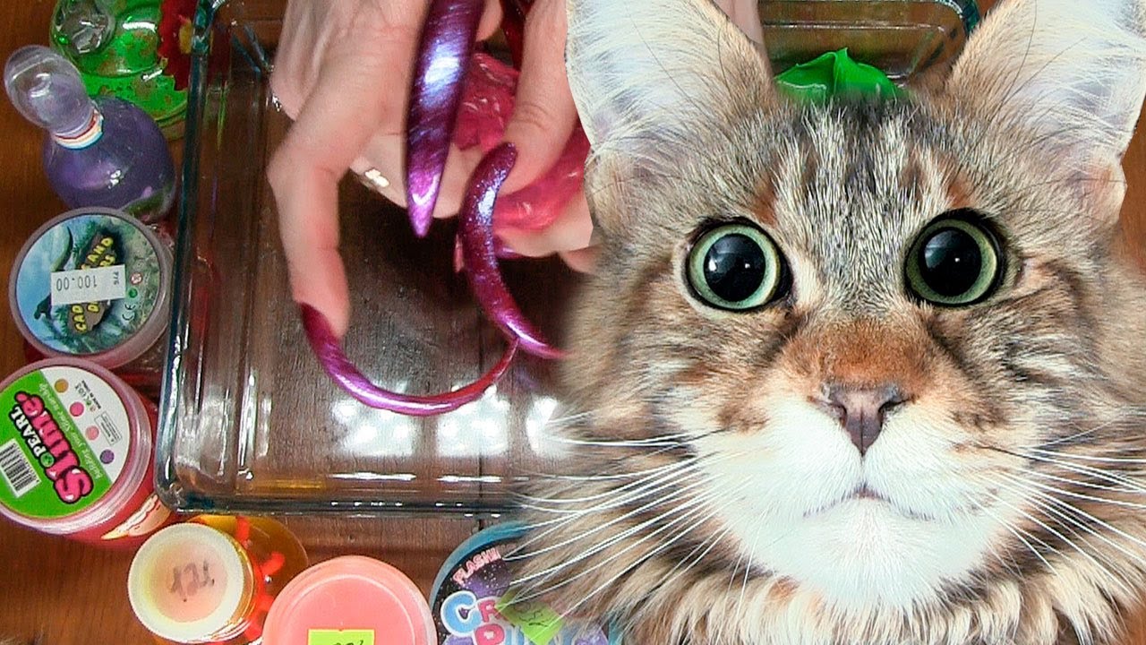 FUNNY CAT mixing SLIME all my slimes satisfying asmr slime video YouTube