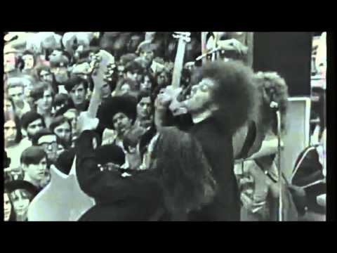 MC5  - Looking At You  (Live 1970)