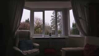 Through Yonder Window (BMPCC Metabones test)