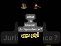 What is Islamic Jurisprudence ? | Urdu Version | اسلامی فقہ کیا ہے؟