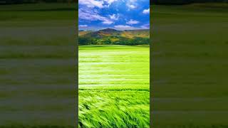 Relaxing waterfall Soundsleep meditation   963