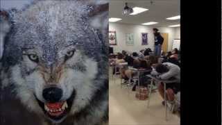 TuHS math harlem shake part 2 (wolf version)