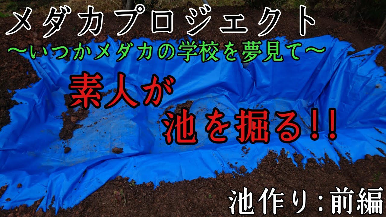 【DIY池作り】メダカプロジェクト始動!!素人が池を掘る(前編)