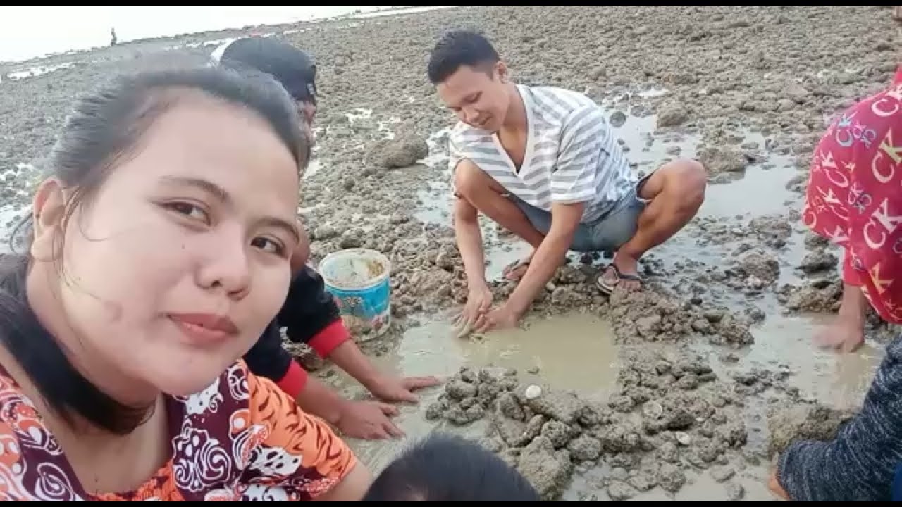 Ternyata Begini Cara Mencari Kerang Di Pantai YouTube
