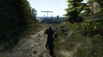The Witcher 3: Wild Hunt area bug