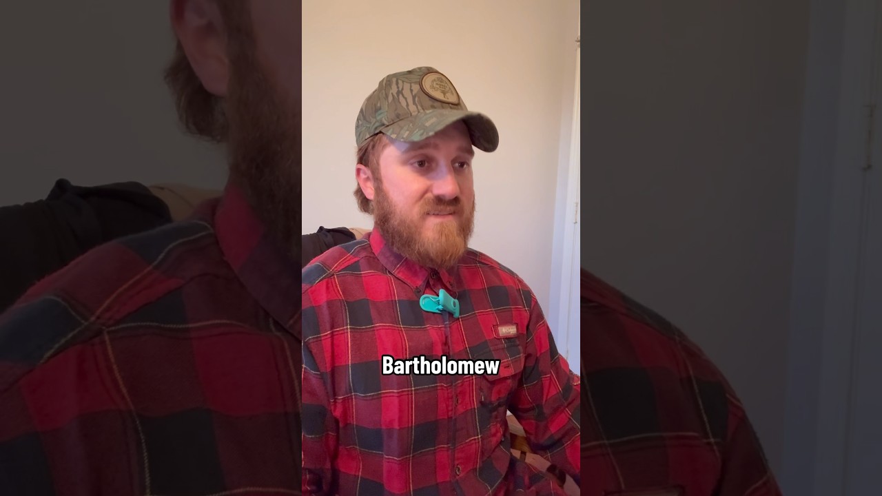 You ever seen a sanctioned opossum fight? #comedy #fyp #turkeyhunter #