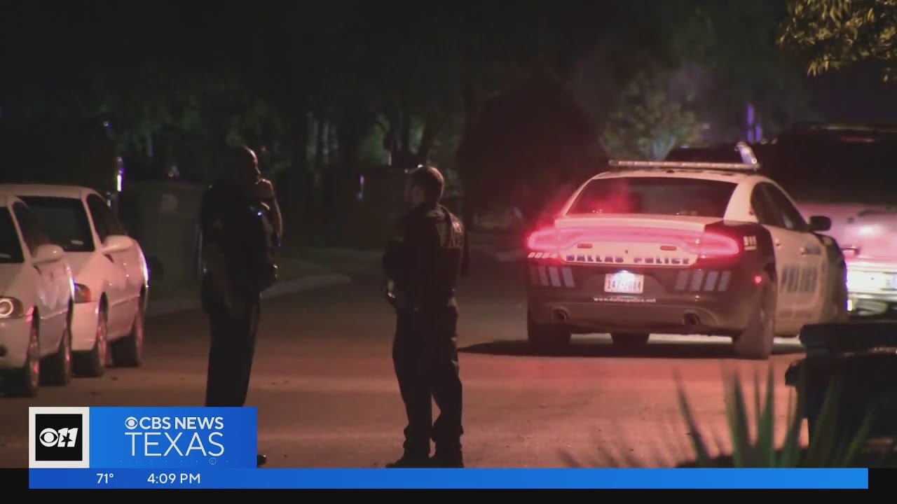 Dallas police officer & K9 shot, injured overnight YouTube