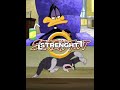 Daffy Duck Vs Tom The Cat